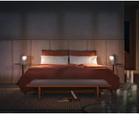 Philips Hue White ambiance Inteligentna Żarówka 2xE27 800lm 8719514328242 - 693571 - zdjęcie 5